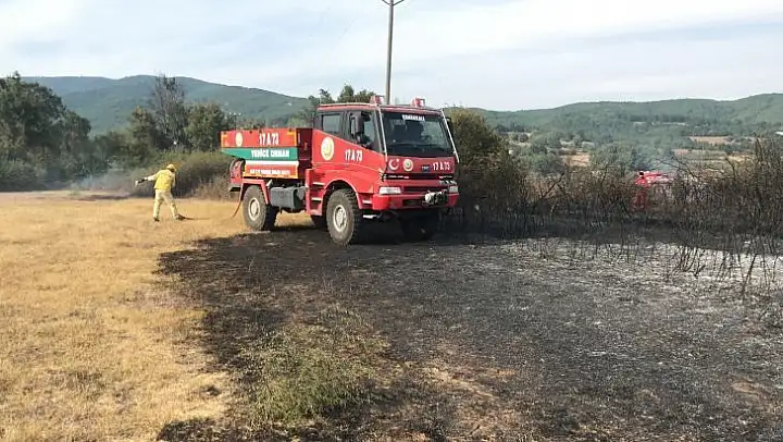 Yenice'de anız yangını