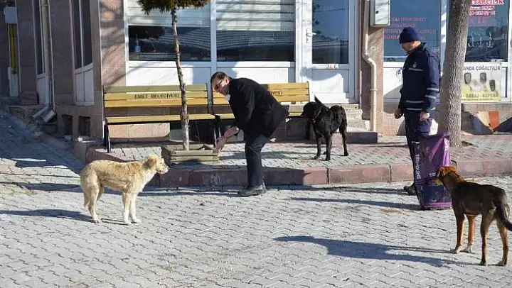 Zabıtadan hayvanlara temel yiyecek