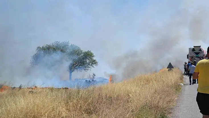 Ayvalık'ta çıkan arazi yangını bölgedeki iş yerlerini tehdit etti