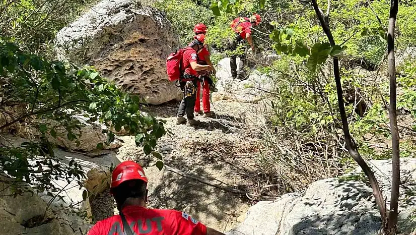 Fethiye'de derede mahsur kalan köpek kurtarıldı
