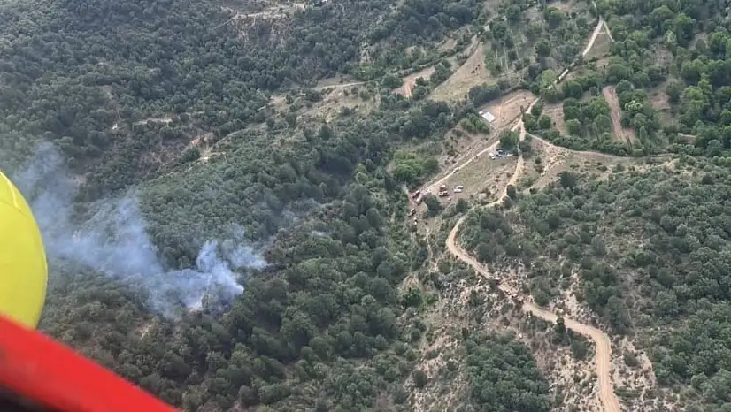 Kütahya'daki orman yangınında 8 dekar alan zarar gördü