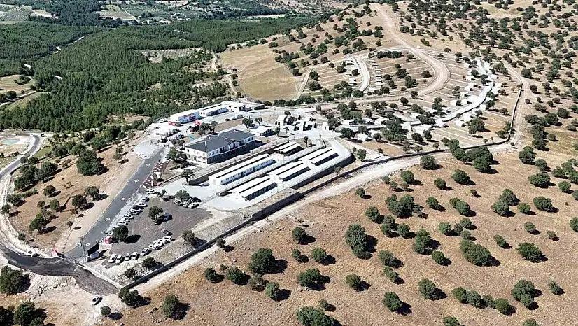 Manisa'da sokak hayvanları için örnek proje hayata geçti