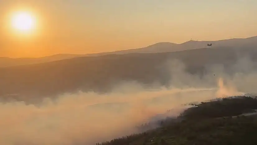 Manisa'daki orman yangınına müdahale tüm hızıyla devam ediyor