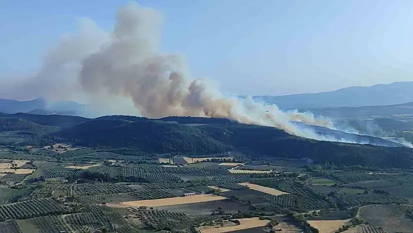 Manisa Kırkağaç'ta orman yangını: Havadan ve karadan müdahale sürüyor