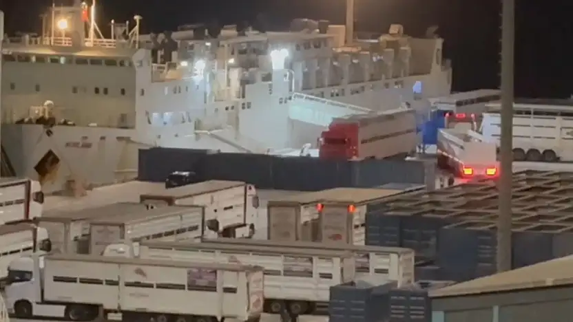 'Yüzen Ahır' yine Bandırma'da: Çelebi Limanı'na tepkiler büyüyor
