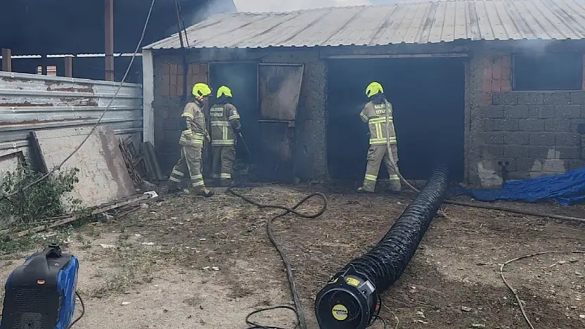 Balıkesir'de ahırda çıkan yangında 42 küçükbaş hayvan telef oldu