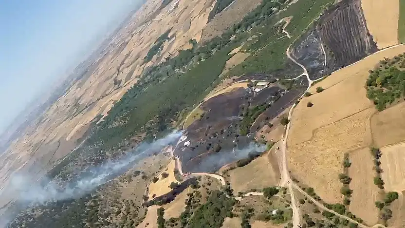 Balıkesir'de orman yangını