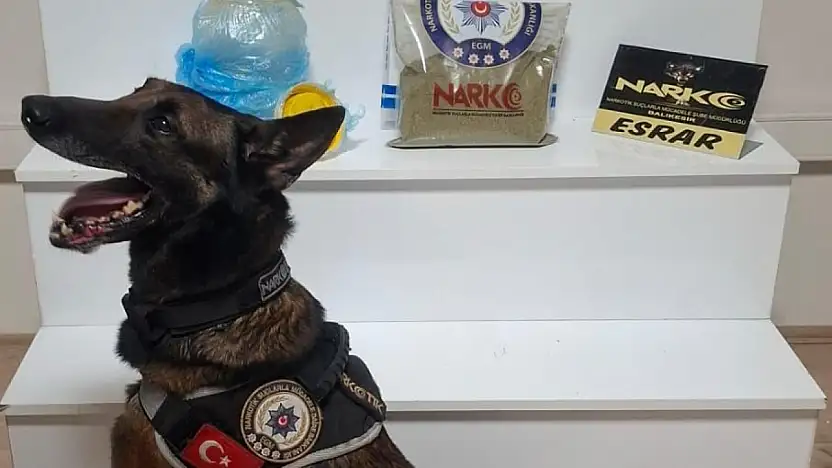 Balıkesir'de uyuşturucu operasyonu