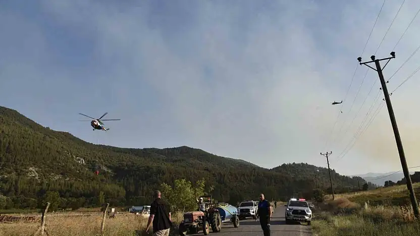 Balıkesir'deki orman yangını kontrol altına alındı