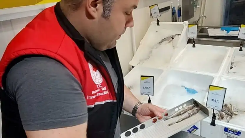 Edremit'te su ürünleri denetimleri aralıksız sürüyor