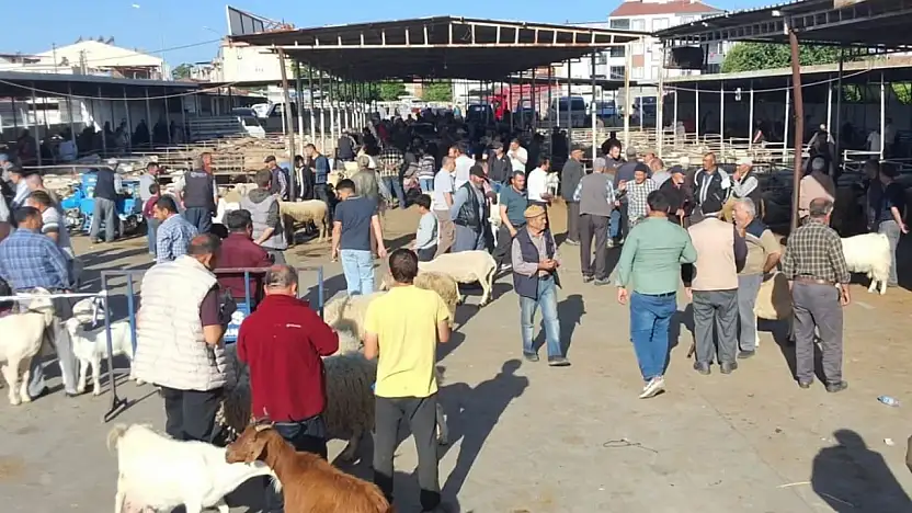 Havran'da Kurban Bayramı öncesi hayvan pazarı denetlendi