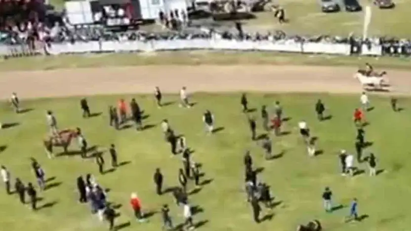 Jokeyi üzerinden attı, yarışa devam etti
