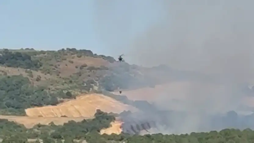 Manyas'ta orman yangını: Havadan müdahale sürüyor