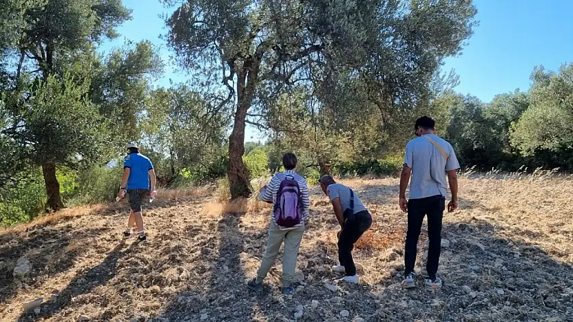 Tarihi zeytin yolları gün yüzüne çıkarılıyor