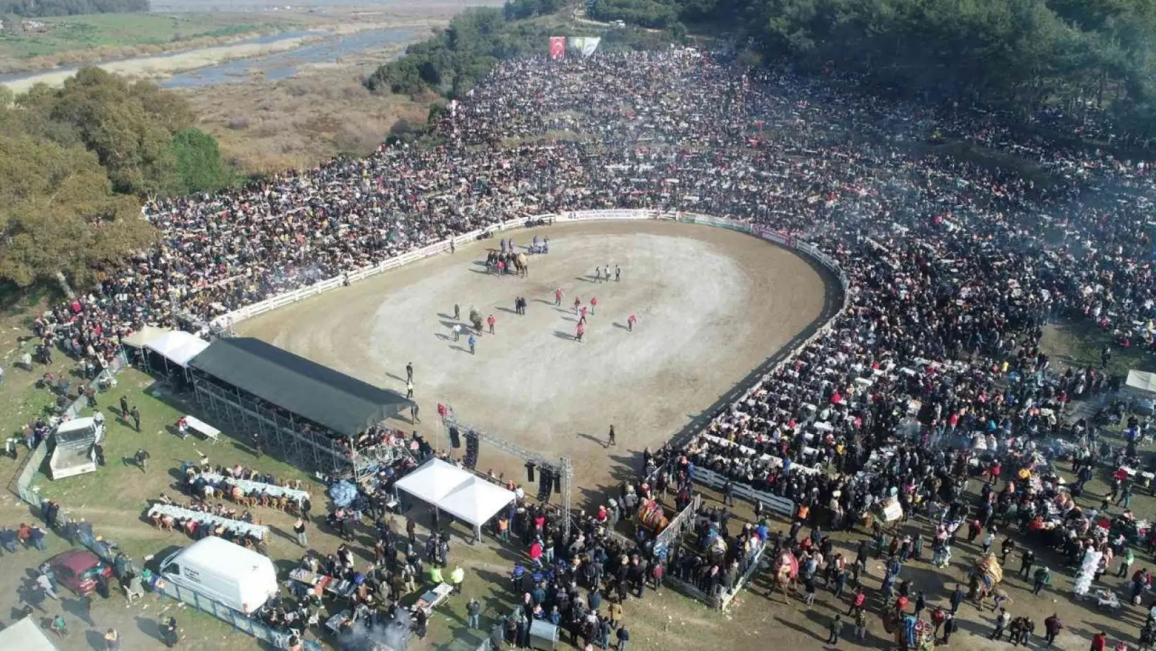 41. Uluslararası Efes Selçuk Deve Güreşleri Festivali sona erdi