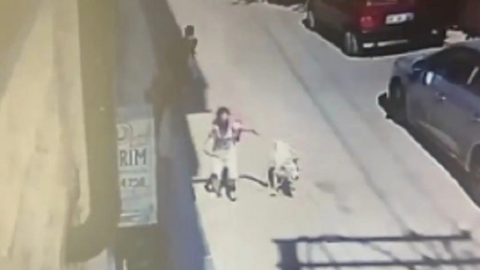 5 yaşındaki çocuğa ve kadına saldıran köpeğin sahibine hapis talebi
