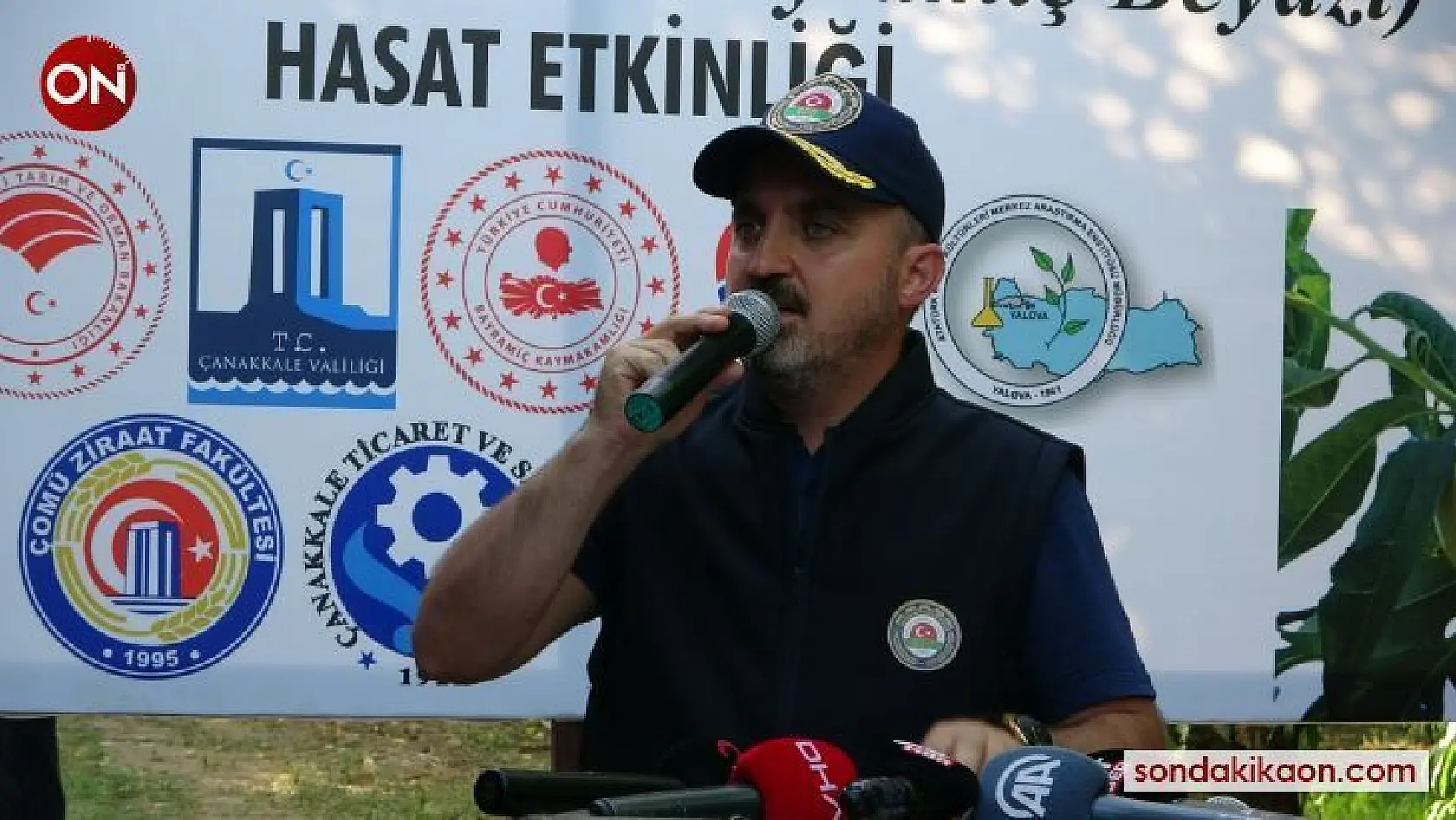 AK Parti'li Turan, Bayramiç Beyazı hasat etkinliğine katıldı