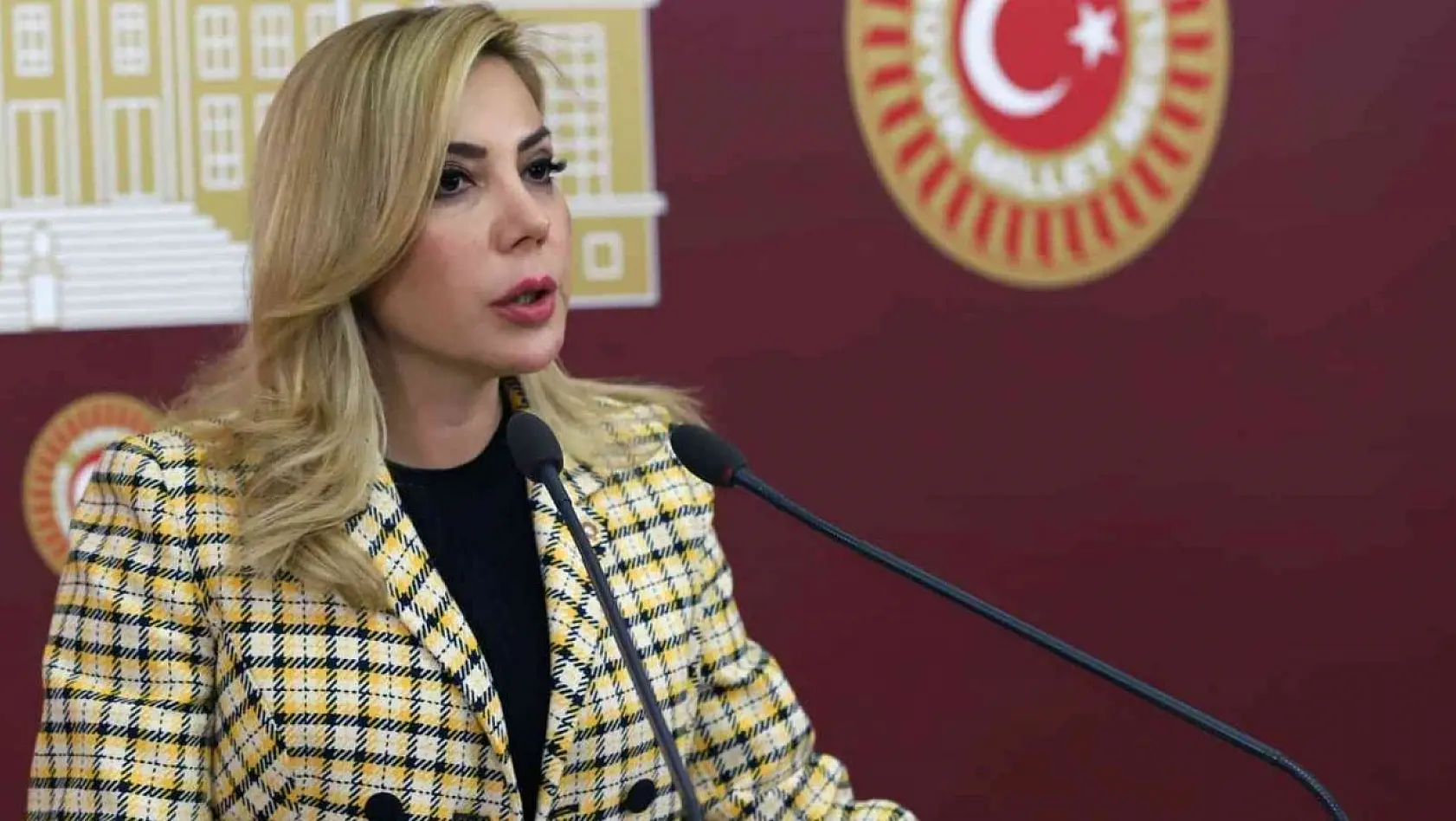 AK Parti Milletvekili Gökcan: 'Sosyal devlet olmanın gereğini yapıyoruz'