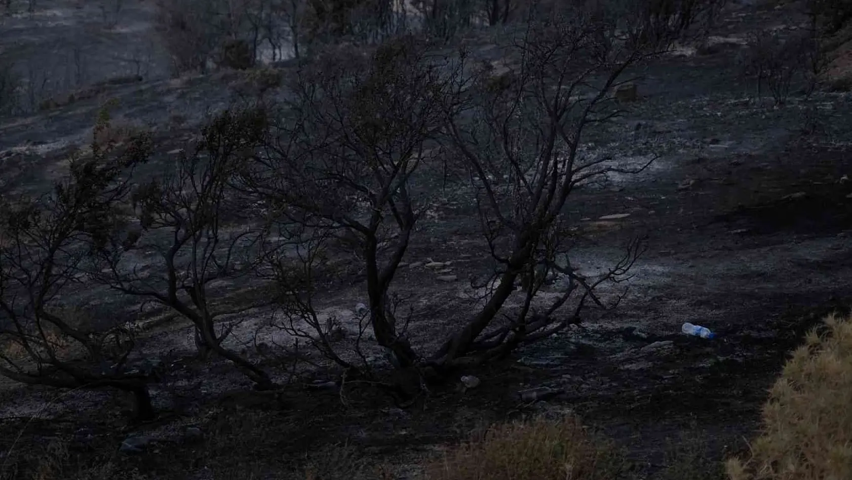 Akhisar'daki orman yangını devam ediyor