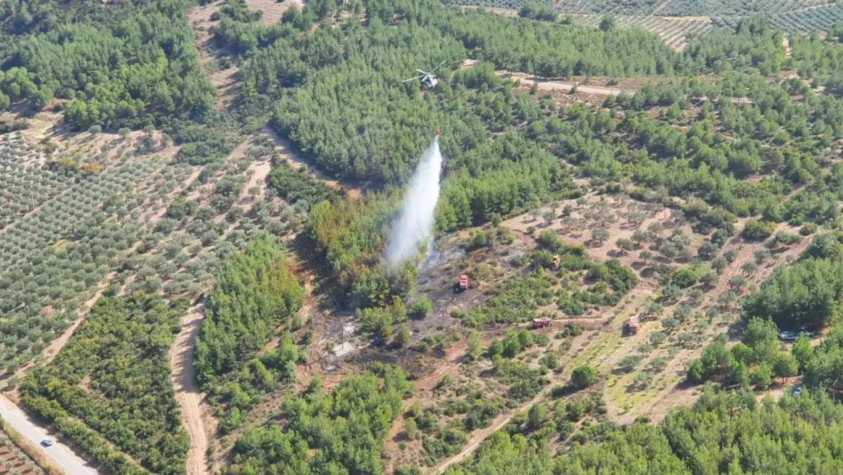 Akhisar'daki orman yangını kontrol altına alındı