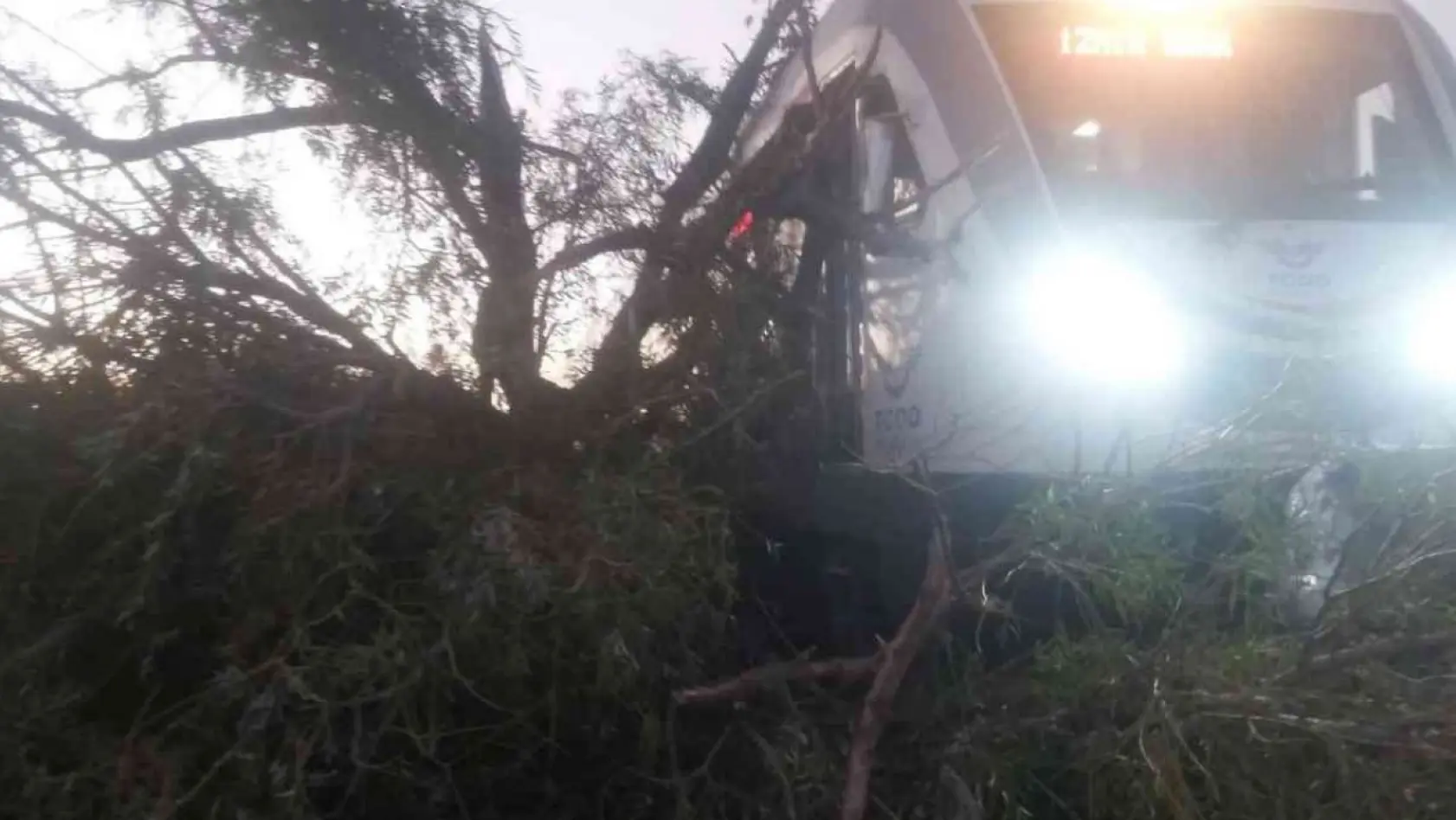Alaşehir'de tren raylarına ağaç devrildi