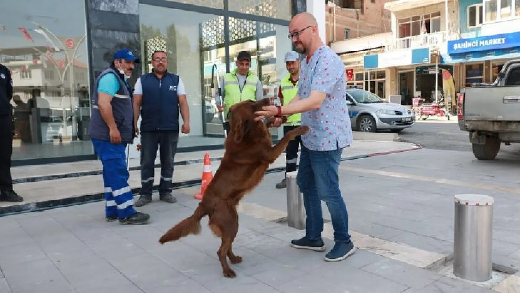 Aydın Büyükşehir Belediyesi, Koçarlı Belediyesi ile sokak hayvanları için ortak çalışma yapıyor