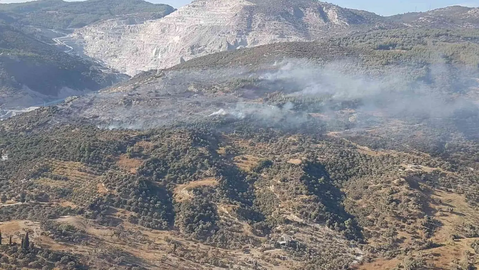 Aydın'da makilik ve zirai alandaki yangın kontrol altına alındı
