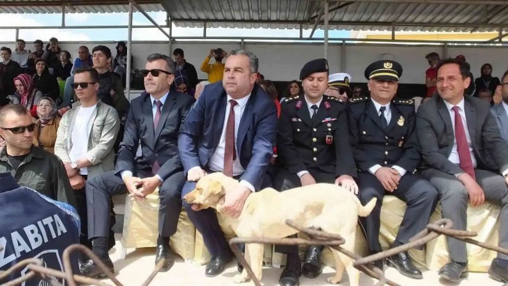 Balıkesir'de 19 Mayıs törenlerinde protokol tribününe çıkan köpek ilginç görüntüler oluşturdu