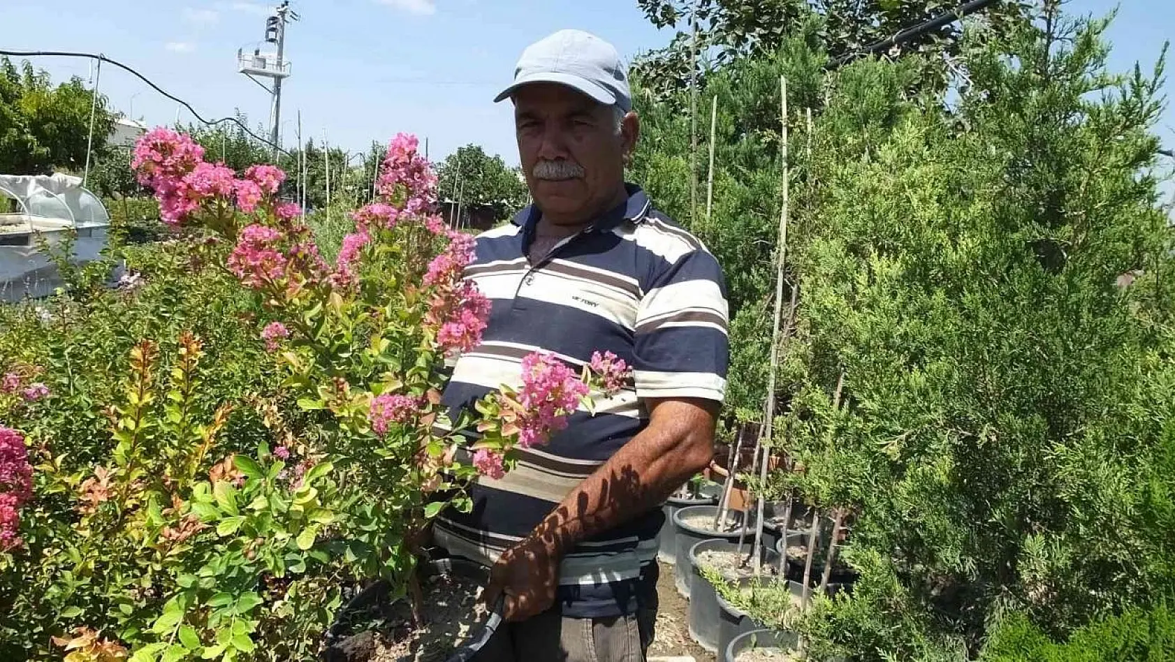 Balıkesir'de işçi emeklisi vatandaş kendini yeşile adadı