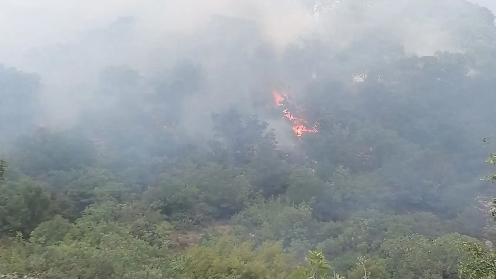 Balıkesir'deki orman yangınına anında müdahale