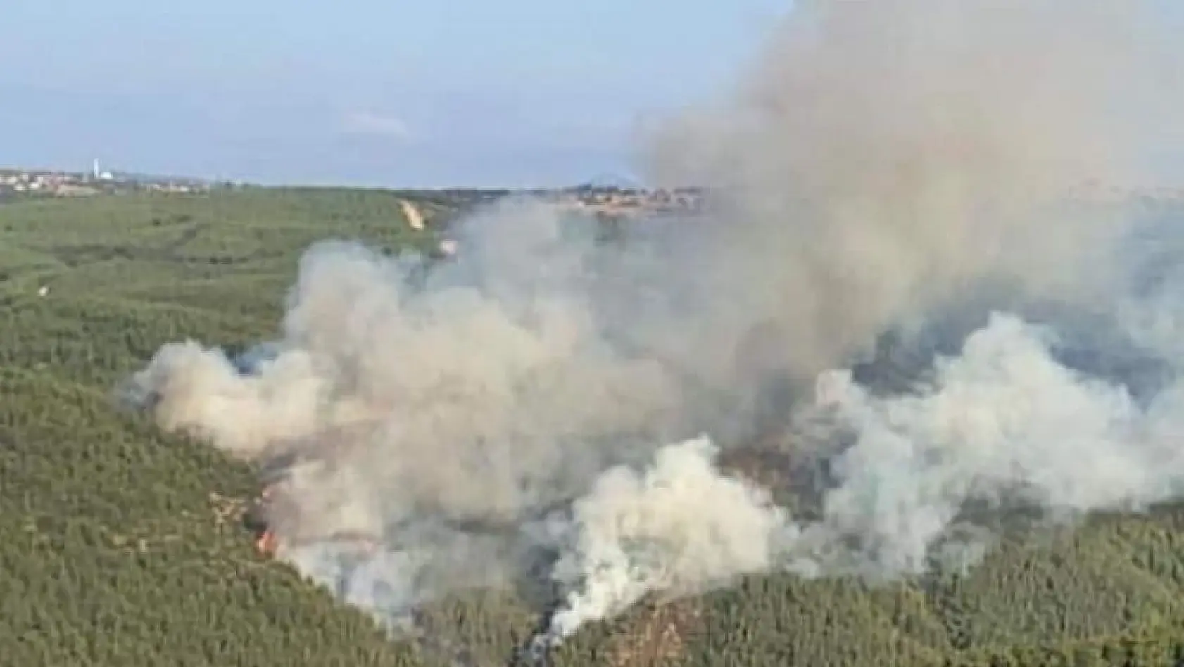 Balıkesir Susurluk'taki orman yangını kontrol altında