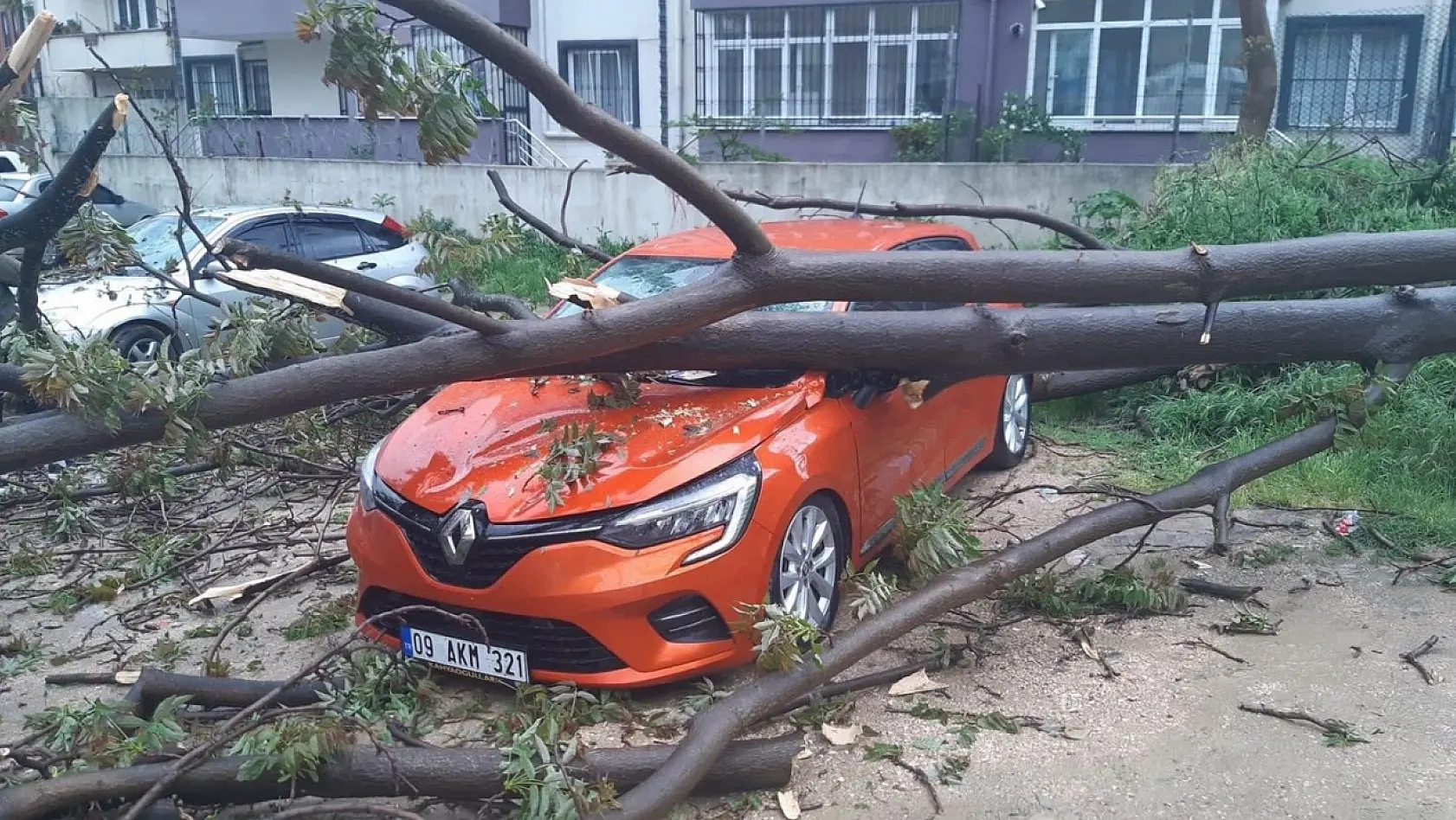Bandırma'da, çürüyen ağaç otomobilin üzerine devrildi