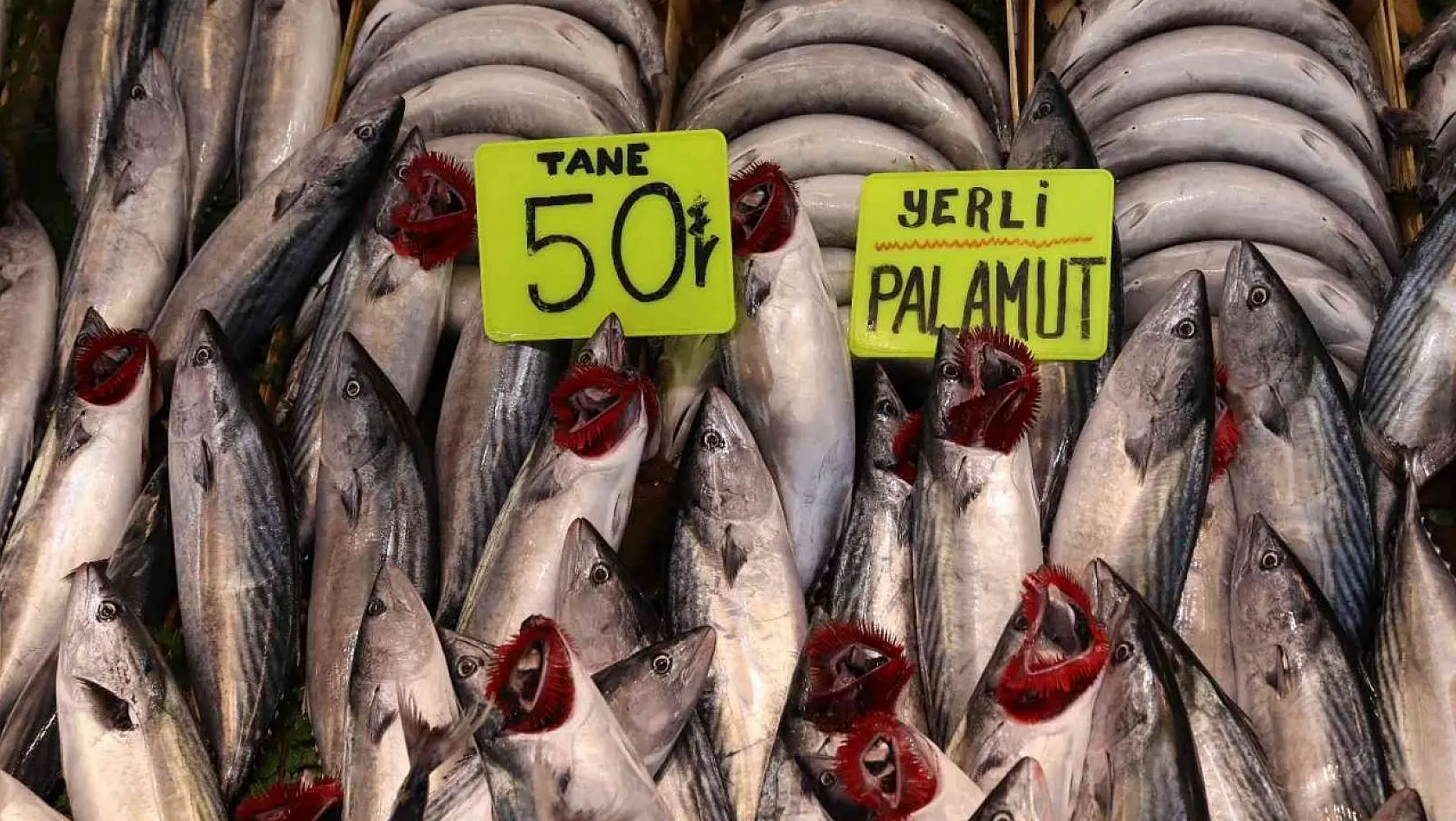 Bandırma'da palamut balığına vatandaşlardan yoğun ilgi
