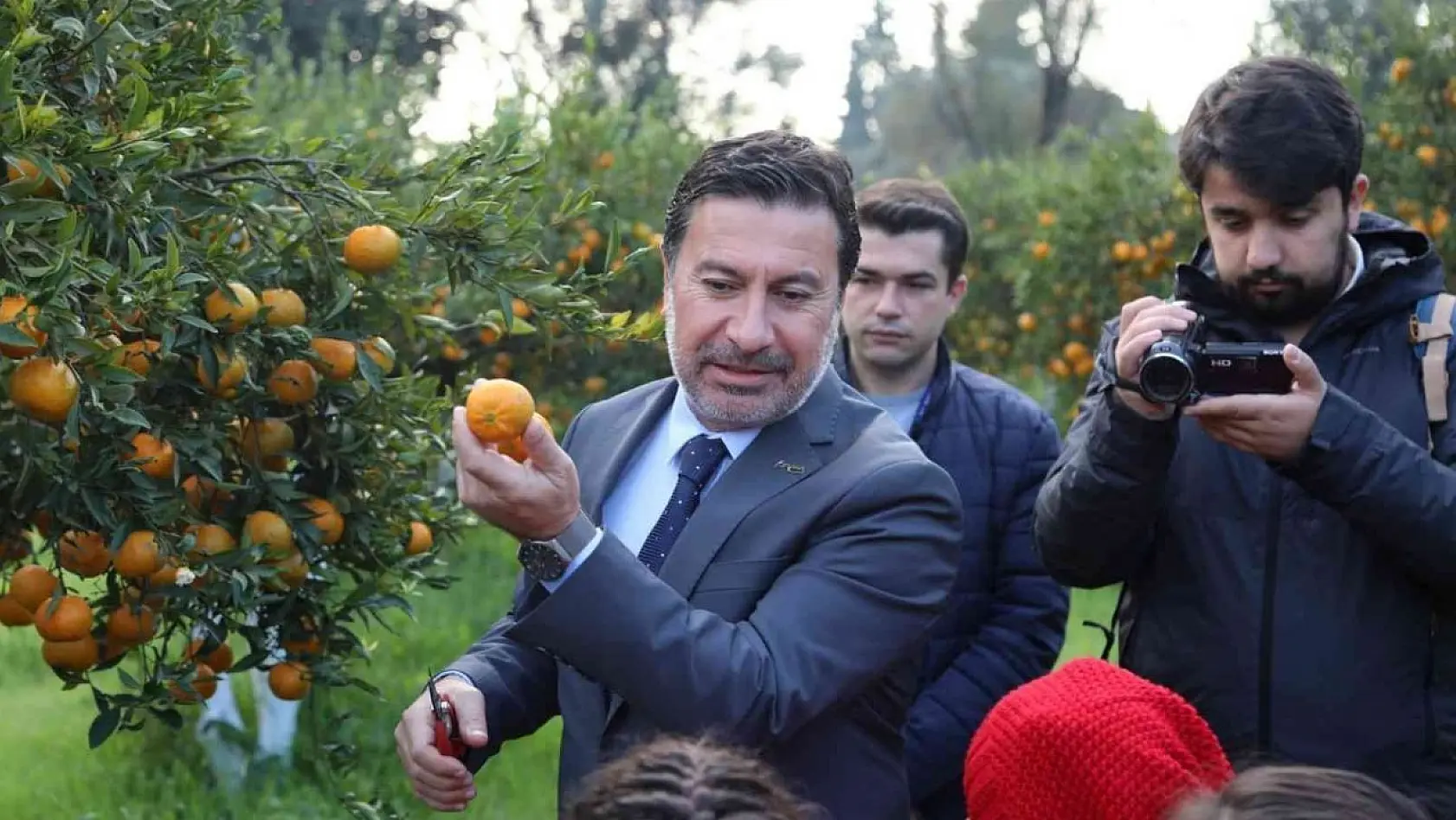 Başkan Aras, öğrencilerle mandalina hasadı yaptı
