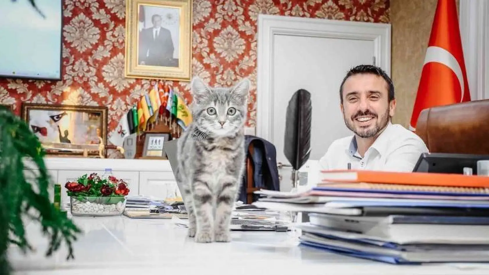 Başkan Tanır'ın sahiplendiği kedi, Kestel Belediyesinin neşesi oldu