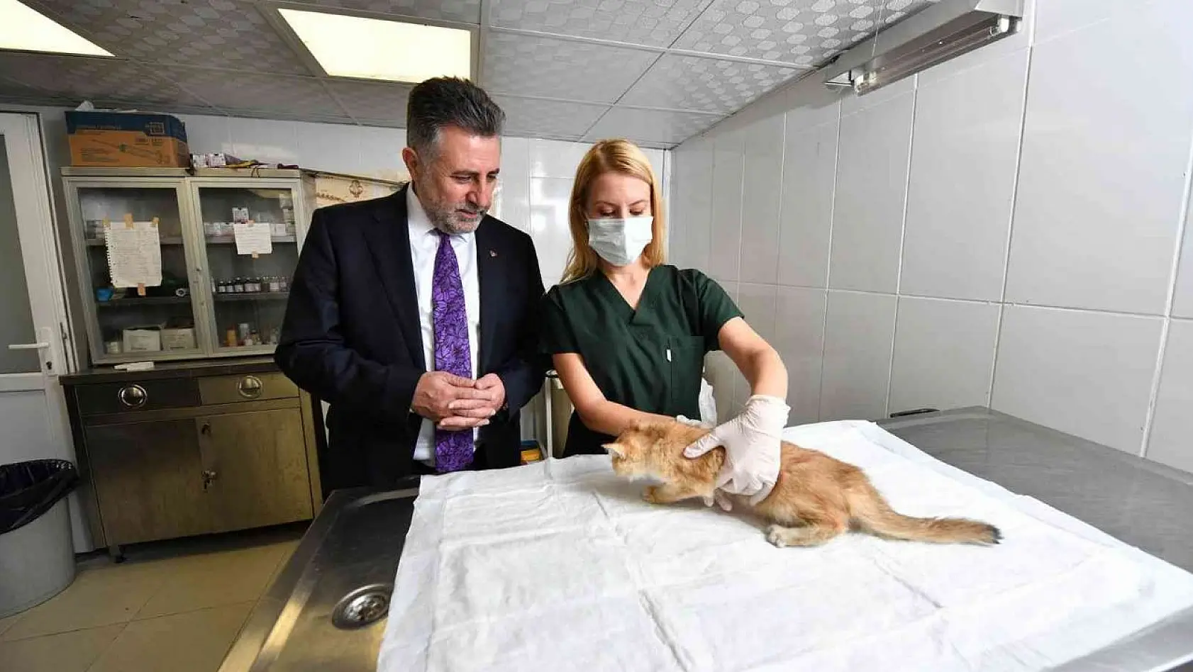 Bayraklı'da 5 ayda bin 250 sokak hayvanı tedavi edildi
