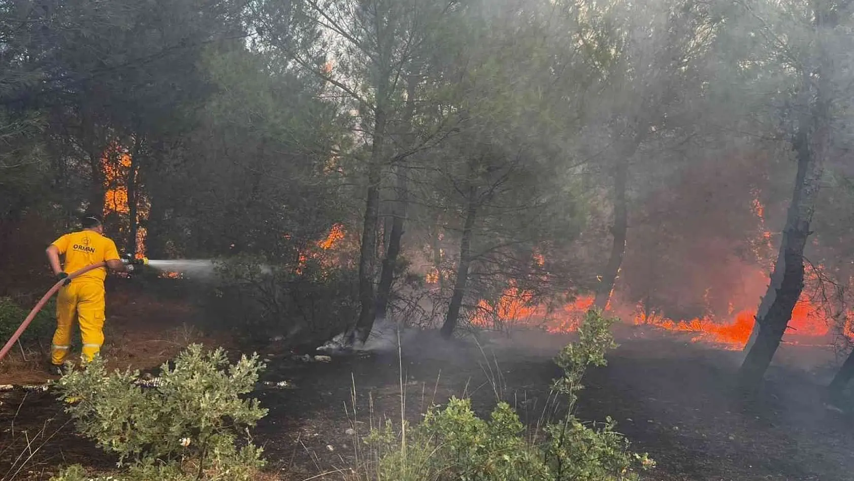 Bergama'daki orman yangını kontrol altında