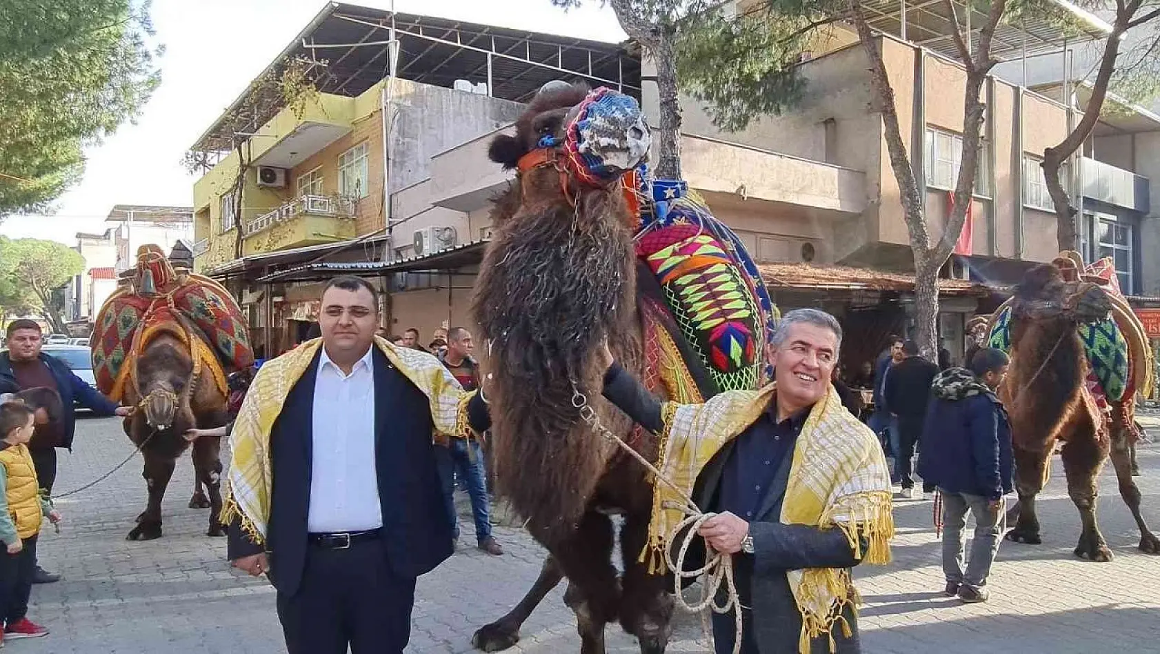 Buharkent'te güreşecek develer şehir turuna çıktı