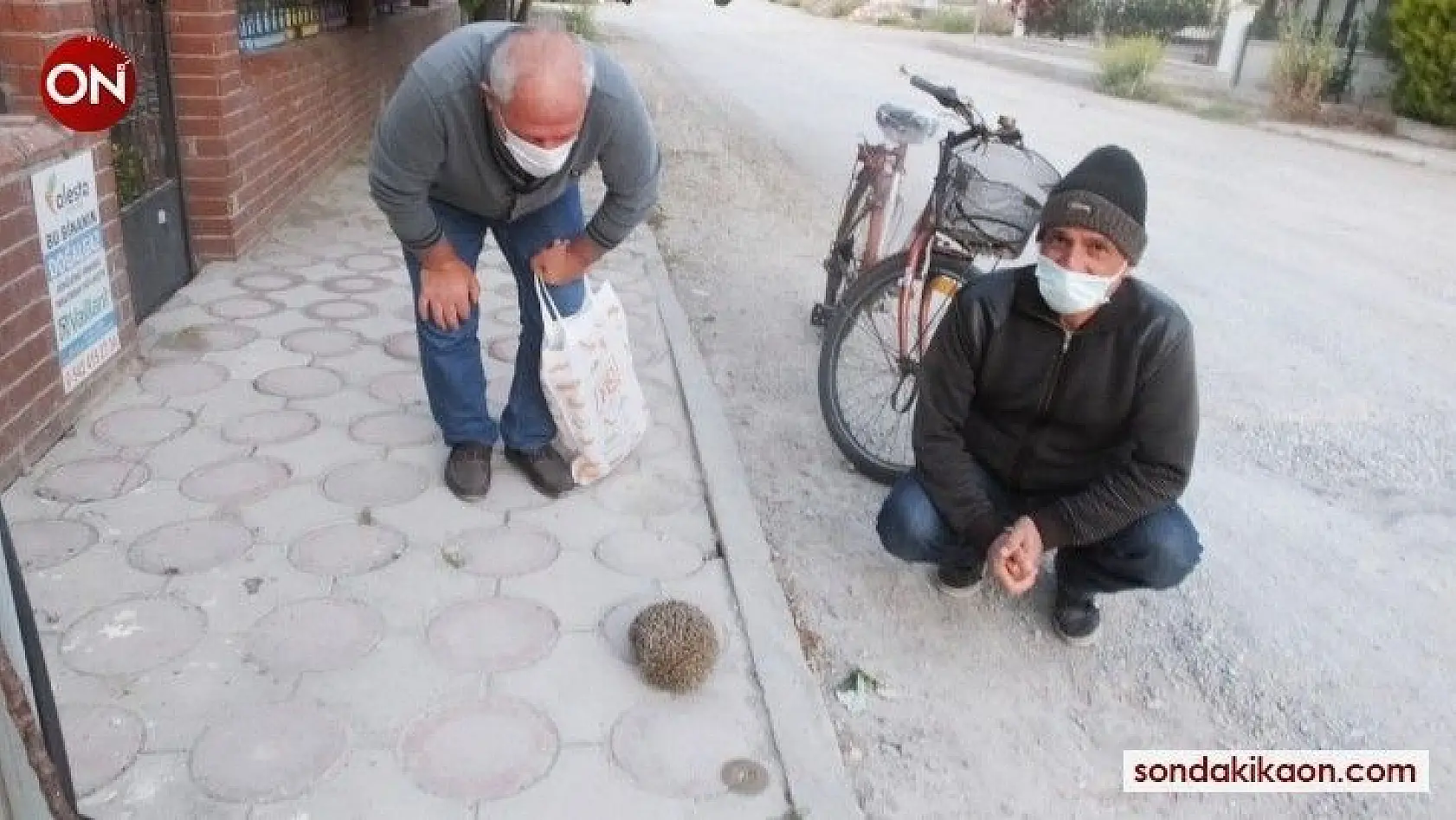 Burhaniye'de kirpiler sokaklara çıktı