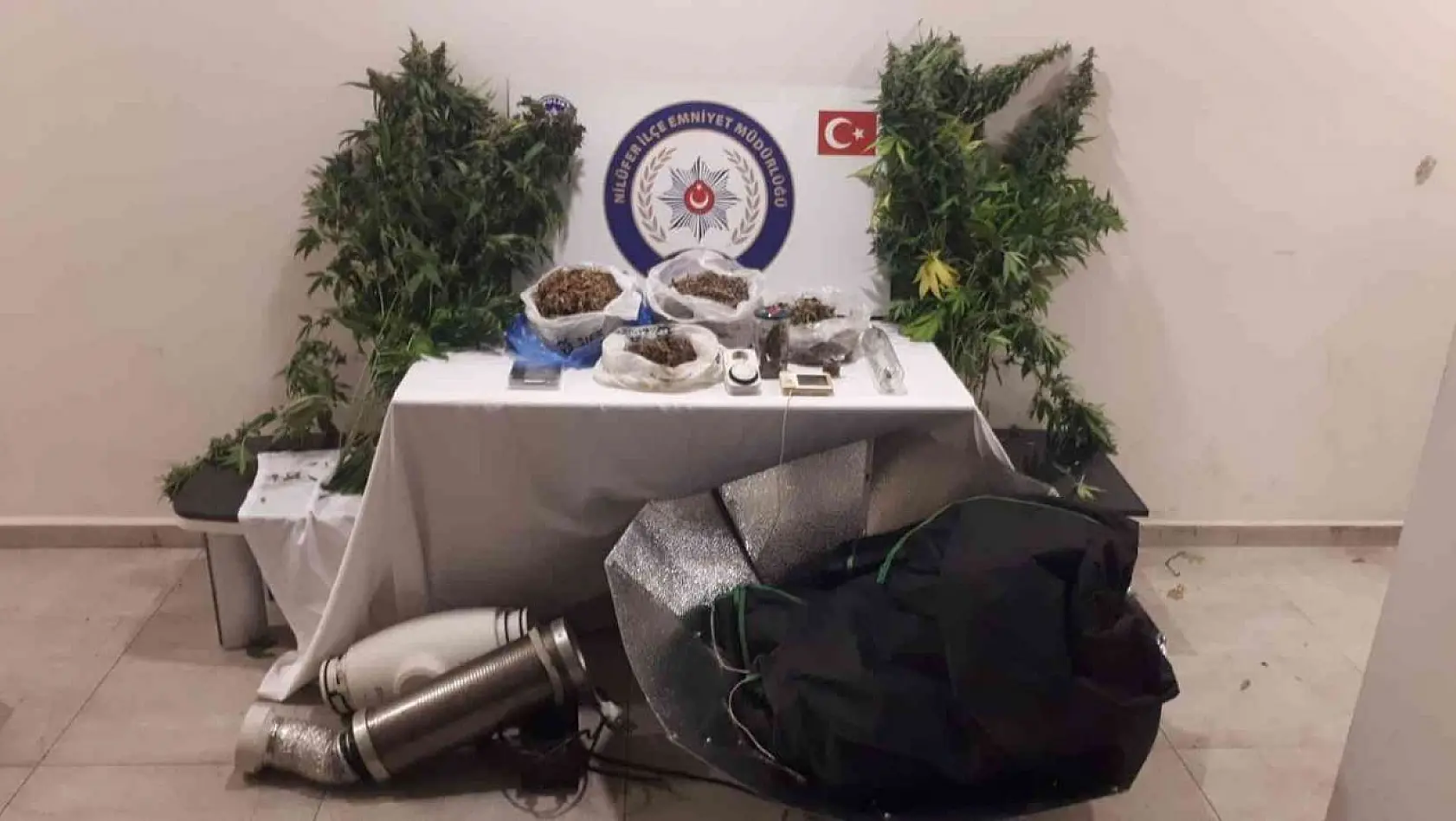 Bursa'da 'Kenevir' evine baskın: 1 gözaltı
