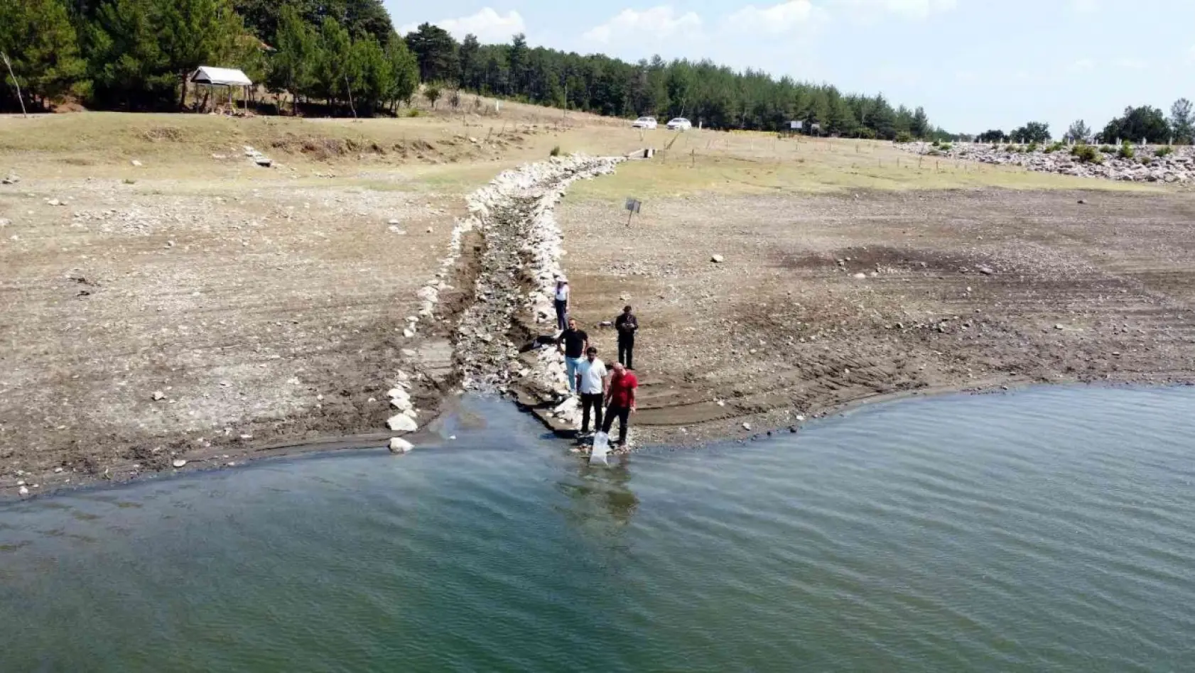 Bursa'da 10 bin yavru sazan balığı suyla buluştu