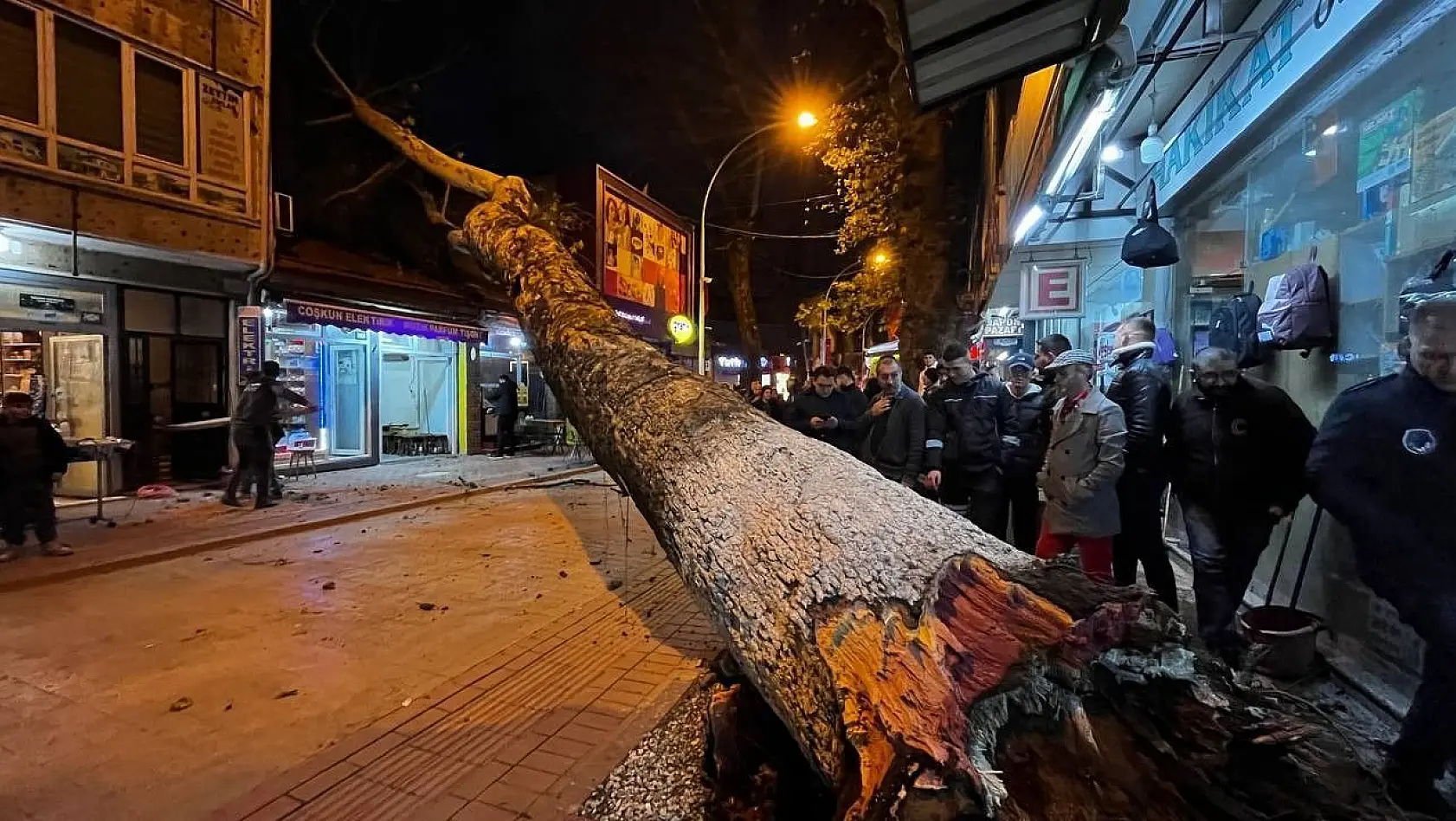 Bursa'da 40 metrelik çınar ağacı dükkanların üzerine devrildi