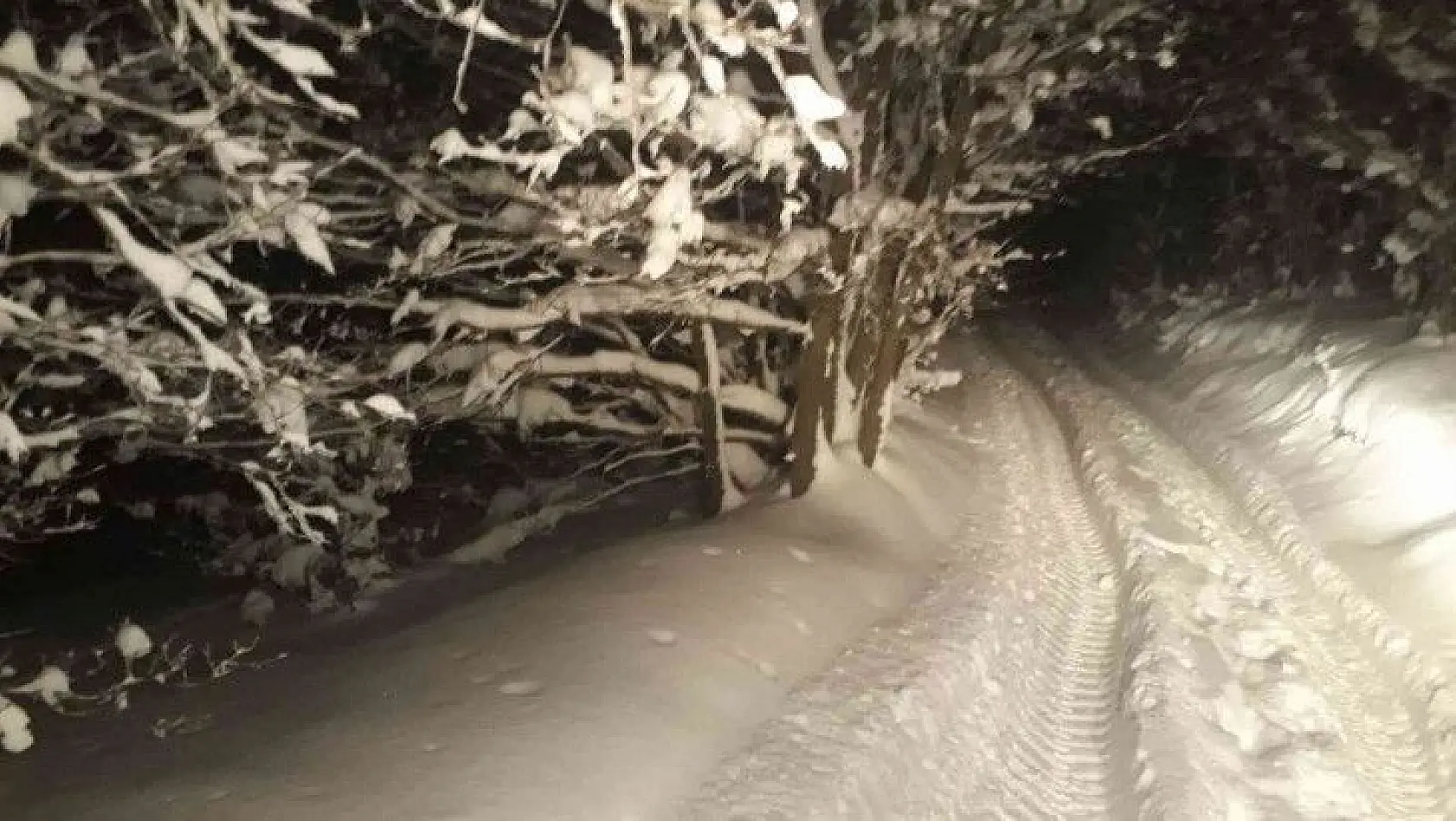 Bursa'da mangal yapmak için gittikleri ormanlık alanda kar nedeniyle mahsur kalan 5 kişi ekipler tarafından kurtarıldı