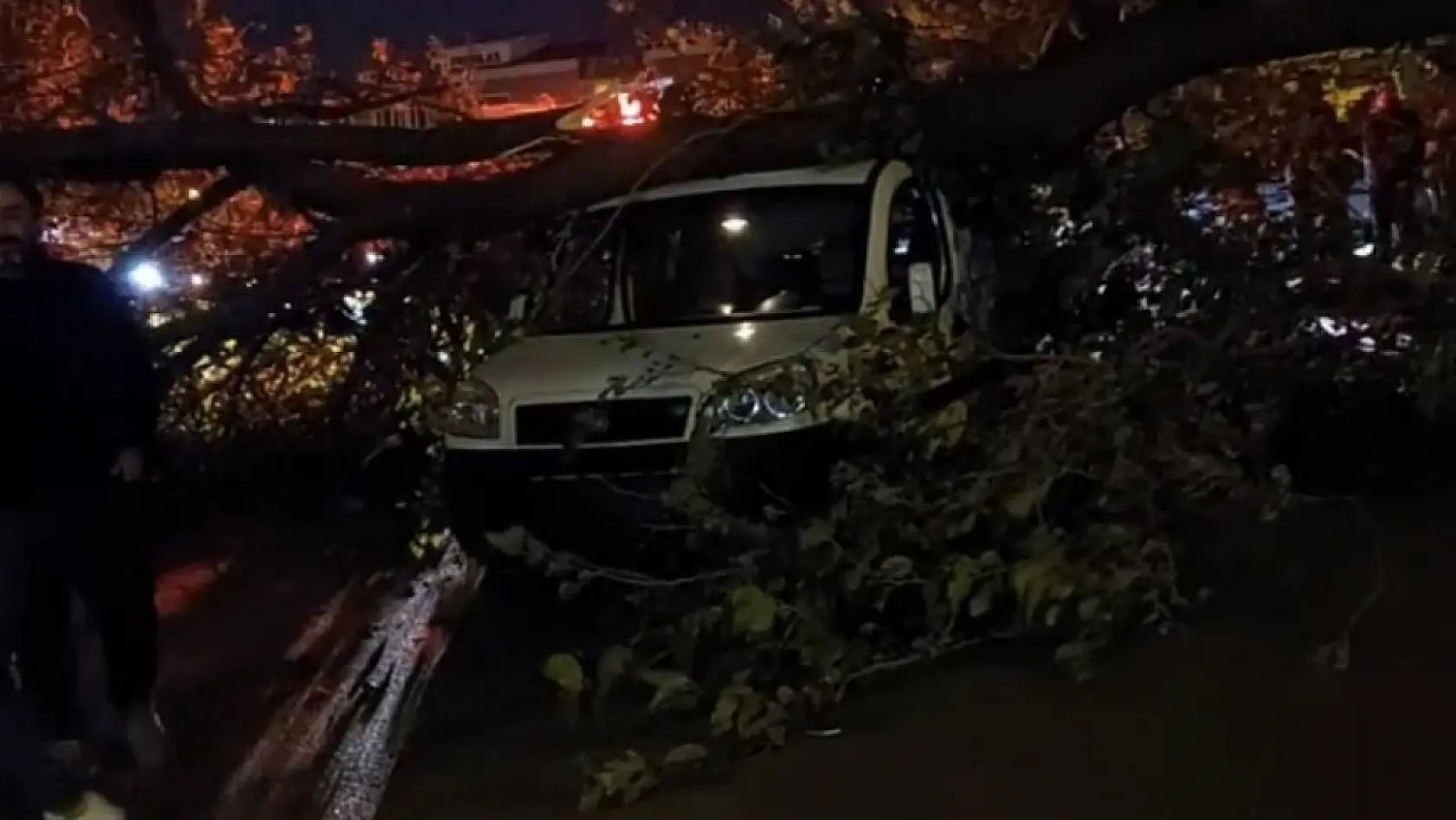 Bursa'da şiddetli lodos hayatı felç etti, ağaçlar araçların üzerine devrildi
