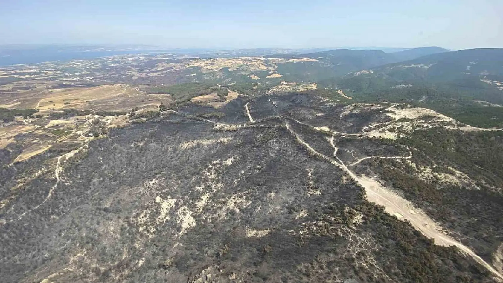 Çanakkale'de bu yıl 114 orman yangınında 4 bin 260 hektar ormanlık alan zarar gördü