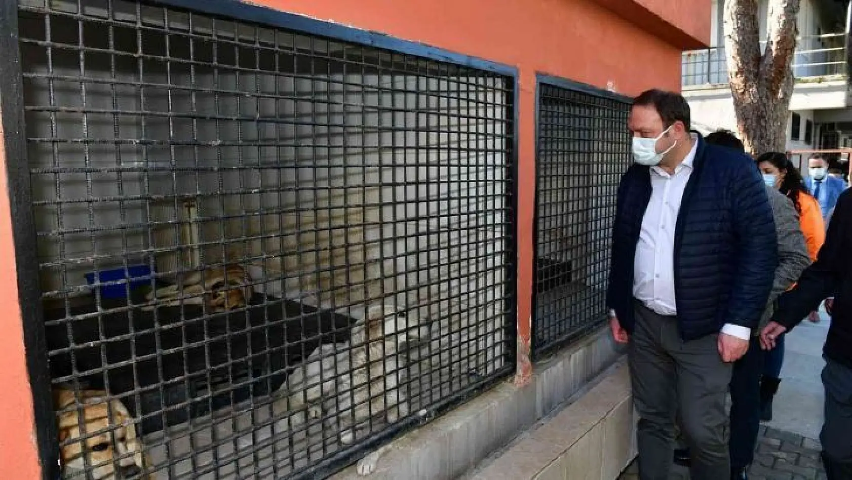 Çiğli Belediyesi, kış mevsimi öncesi sokak hayvanlarını unutmadı