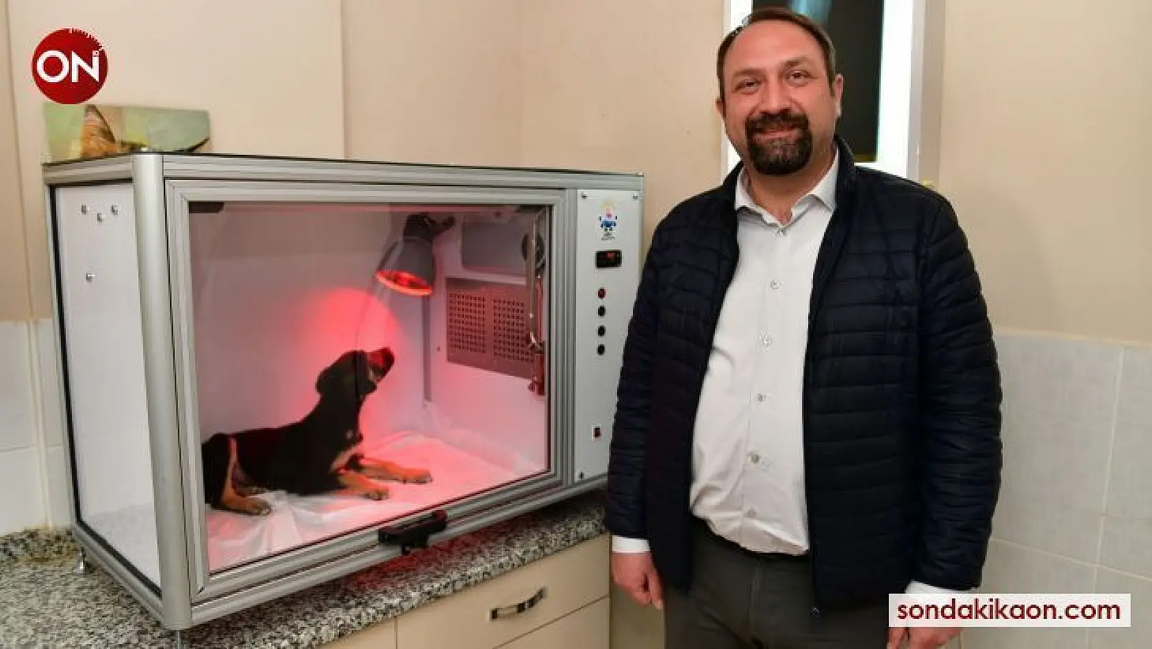 Çiğli Belediyesinden hayvan dostu proje: Yoğun Bakım Ünitesi