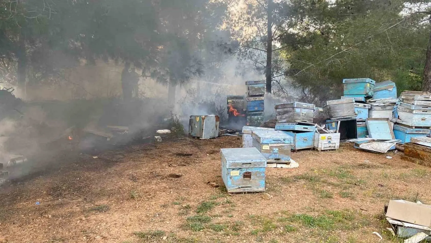 Datça'daki orman yangınında arı kovanları zarar gördü