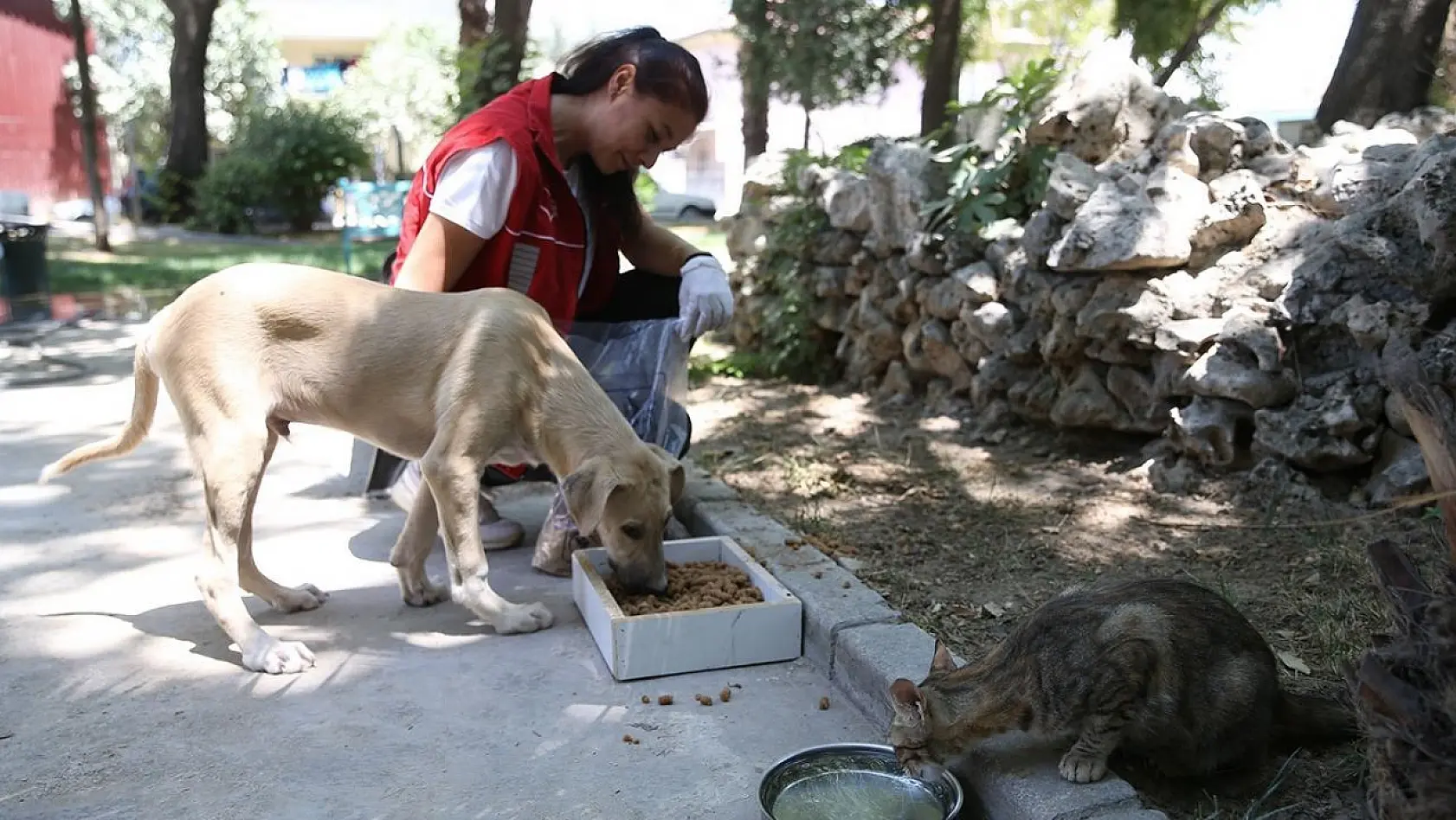 Denizli'de Pet Kafe ve Mama Üretim Tesisi yoğun mesai harcıyor