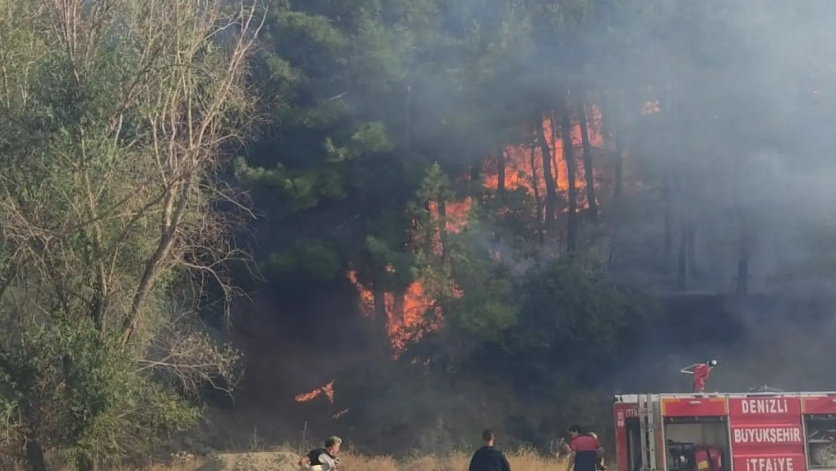 Denizli'de yerleşim yerine yakın noktada orman yangını başladı